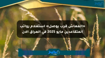 «المعاش قرب يوصل» استعلام رواتب المتقاعدين مايو 2025 في العراق الآن